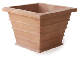 cesta bassa cintolini tsr