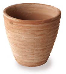 vaso largo rigato tsr